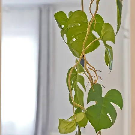 Prázdninový dům Malleus House *