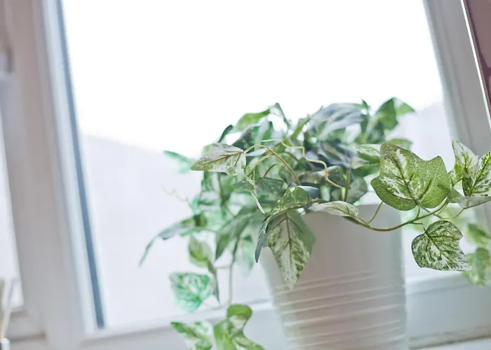 Malleus House * Barrow-in-Furness