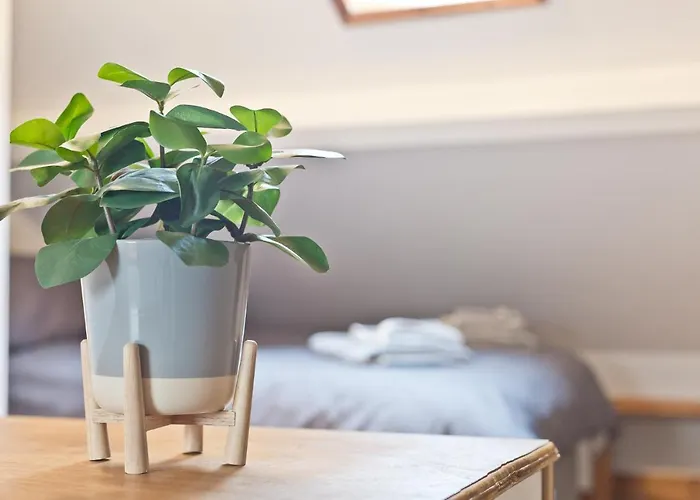 Malleus House Holiday home