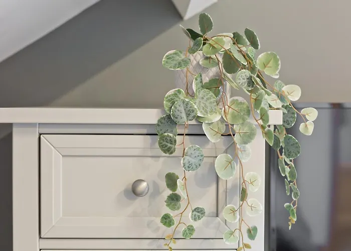 Malleus House Holiday home *