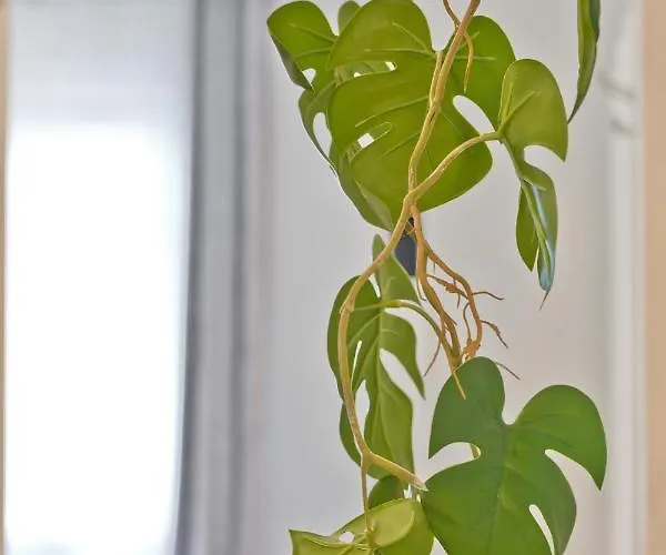 Holiday home Malleus House *